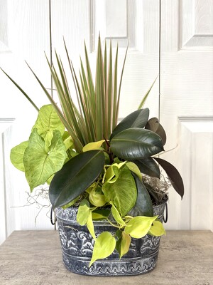 Tin Dish Garden from Aladdin's Floral in Idaho Falls